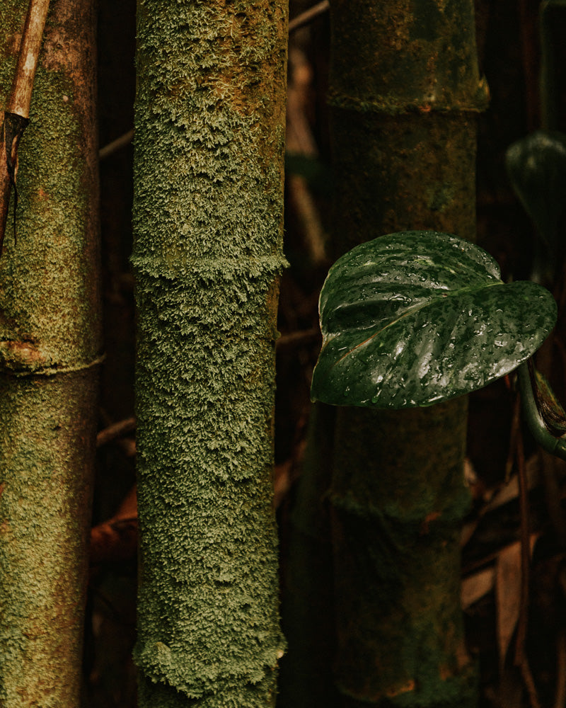 Blog Post 2
