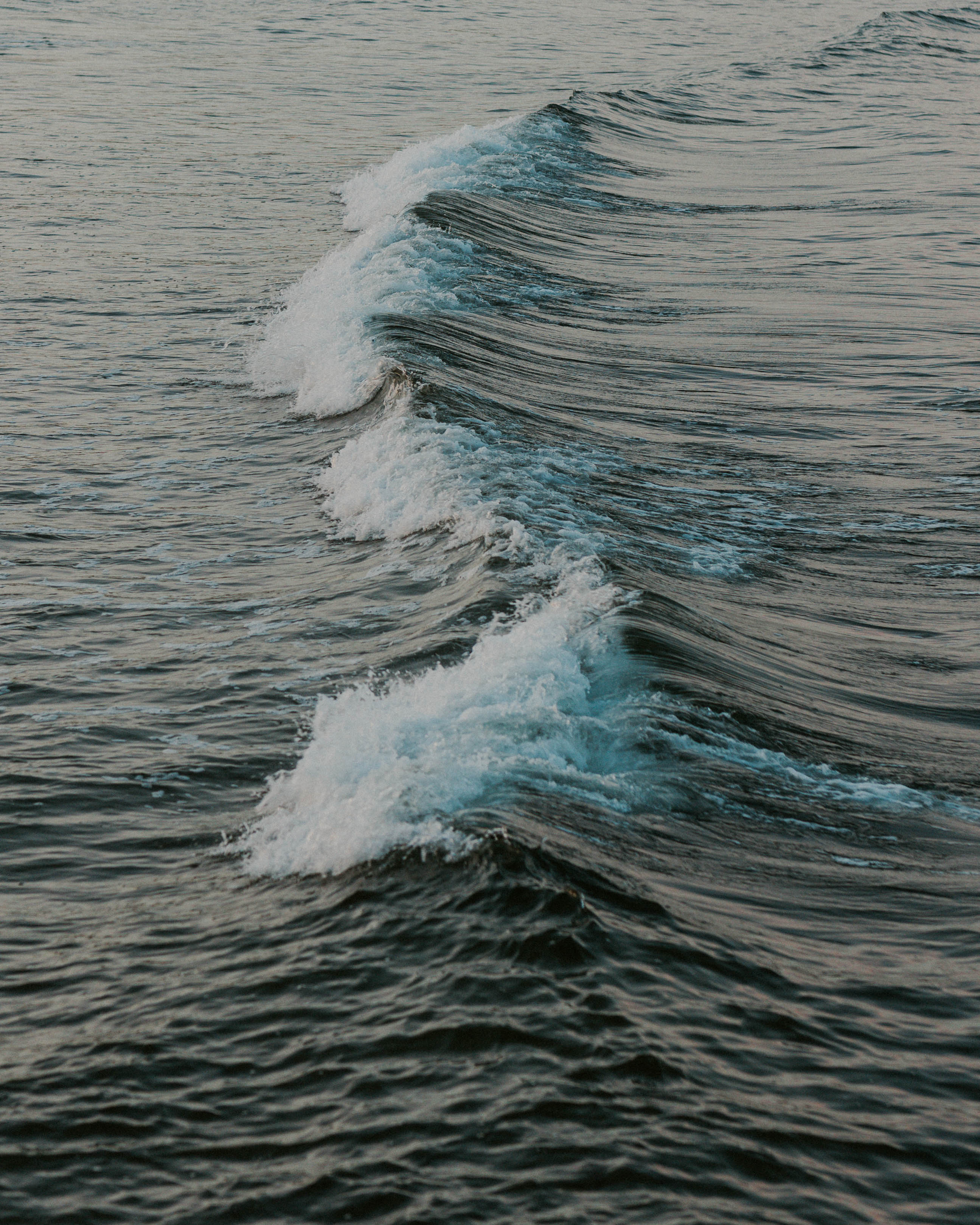 TIDAL RENEWAL BARRIER CRÈME